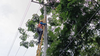 PLN UP3 Jambi Kembali Lakukan Pemeliharaan Jaringan Listrik, Ini Jadwalnya